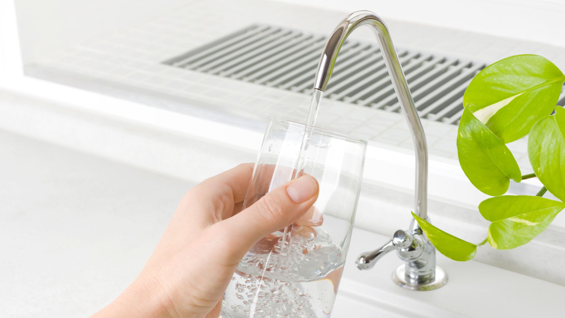 Under Sink vs. Whole House Filters